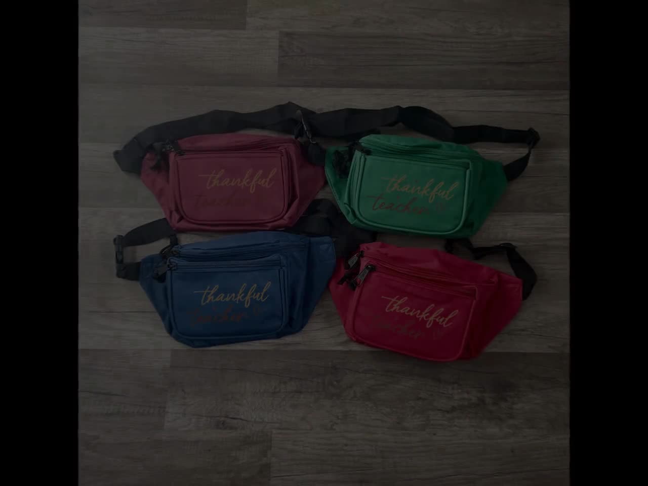 Teacher fanny outlet pack